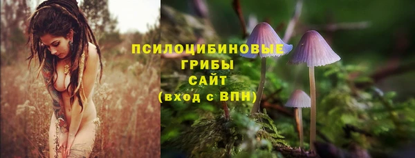 метадон Каменск-Шахтинский
