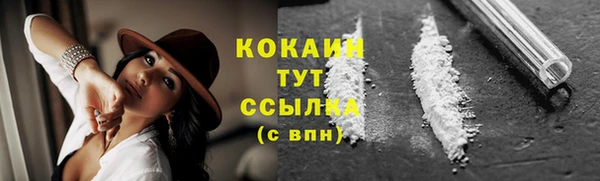 хмурый Кодинск