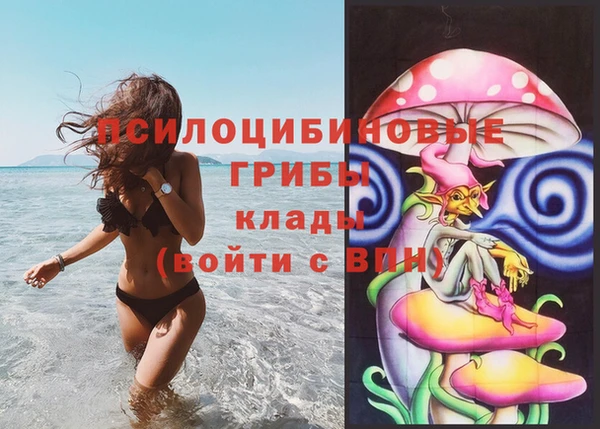 хмурый Заводоуковск