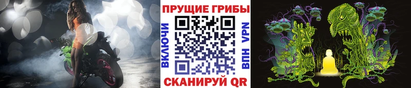 купить закладку  Липки  Псилоцибиновые грибы Psilocybe 